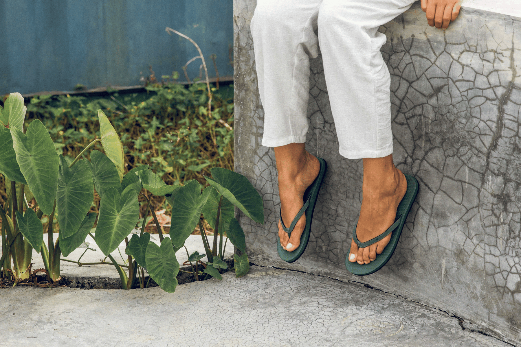 Flip Flops Hombre - Verde Leaf